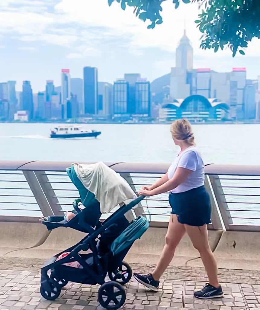 uppababy vista 0101 2015 Convertible Stroller - Aluminum Silver Frame TSCSHDIII761MH Select your compatible high chair::Century Dine On 4-in-1 The robust V2 frame How To Fly With