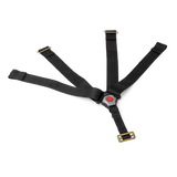 Avery / Capsule s2 5 Point Harness