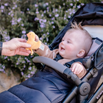 Baby in a stroller being given a toy by an adult outdoors.
