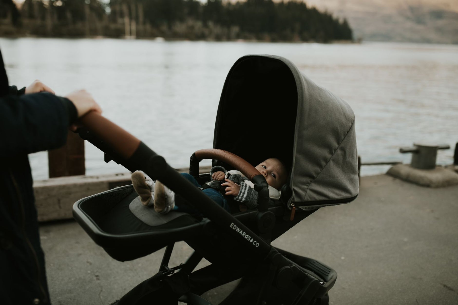 Olive Oscar M Newborn Insert Cushion – Edwards Co